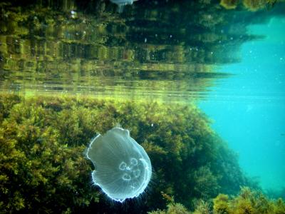 Прикрепленное изображение: 9-5IY3Mv_1M.jpg